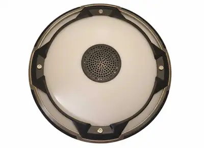 TWO 12" LED Ceiling Lights,  Built-in Bluetooth Speaker – 4000K​, View more