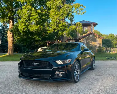 2015 mustang GT premium *clean carfax* -can supply Recaro seat car, appearance package Built in navi...