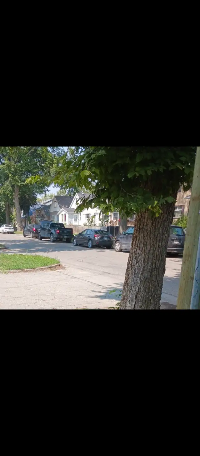 roommate wanted in Room Rentals & Roommates in Winnipeg - Image 2