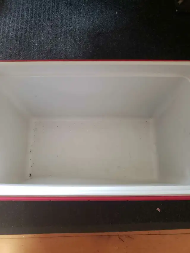 Coleman Cooler581933685151508482