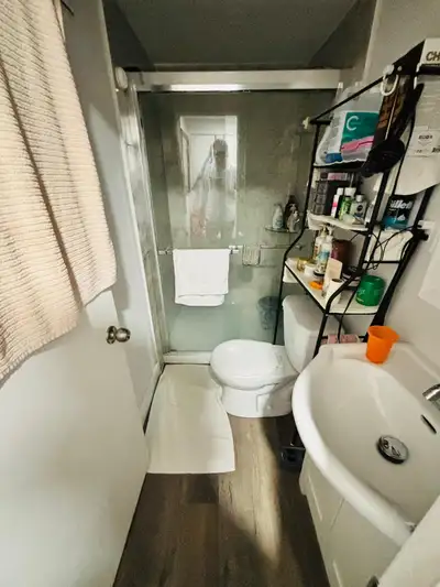 basement room in sharing
