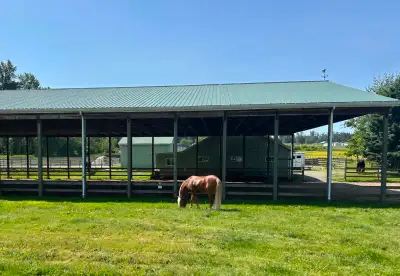 Horse Farm Caretaker - RV Provided (South Langley), View more