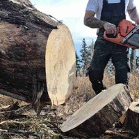 Papa Chops Tree Service Calgary Alberta Preview