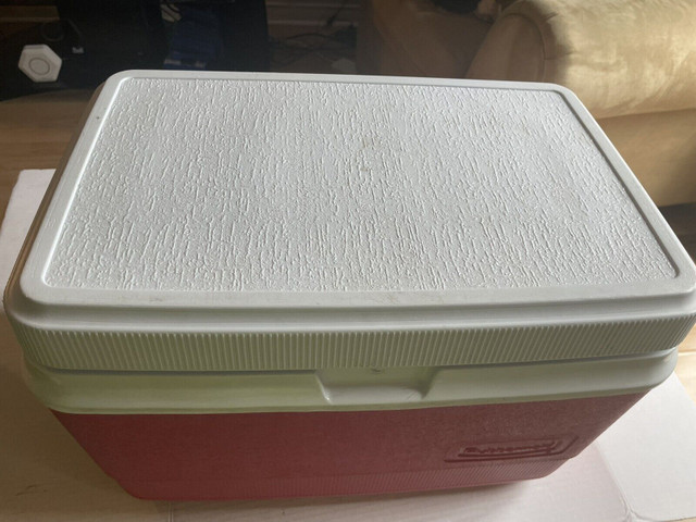 White red Rubbermaid  cooler (20x12x13 inches in Other in Mississauga / Peel Region - Image 2