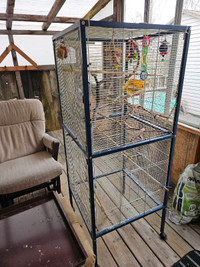 Perruches et Cages