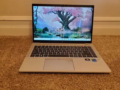 14" HP Laptop (Touch Screen), 11th gen i7, 16GB RAM, 512GB SSD, View more