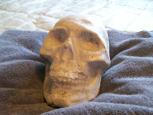 Cement skulls in Holiday, Event & Seasonal in Regina - Image 3