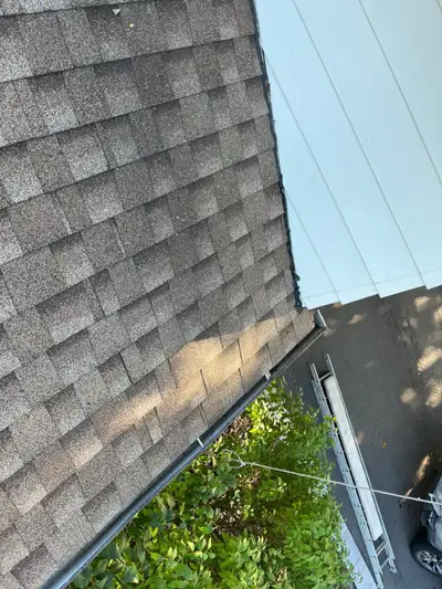 Flat Roofing Specialists / Contractor, View more