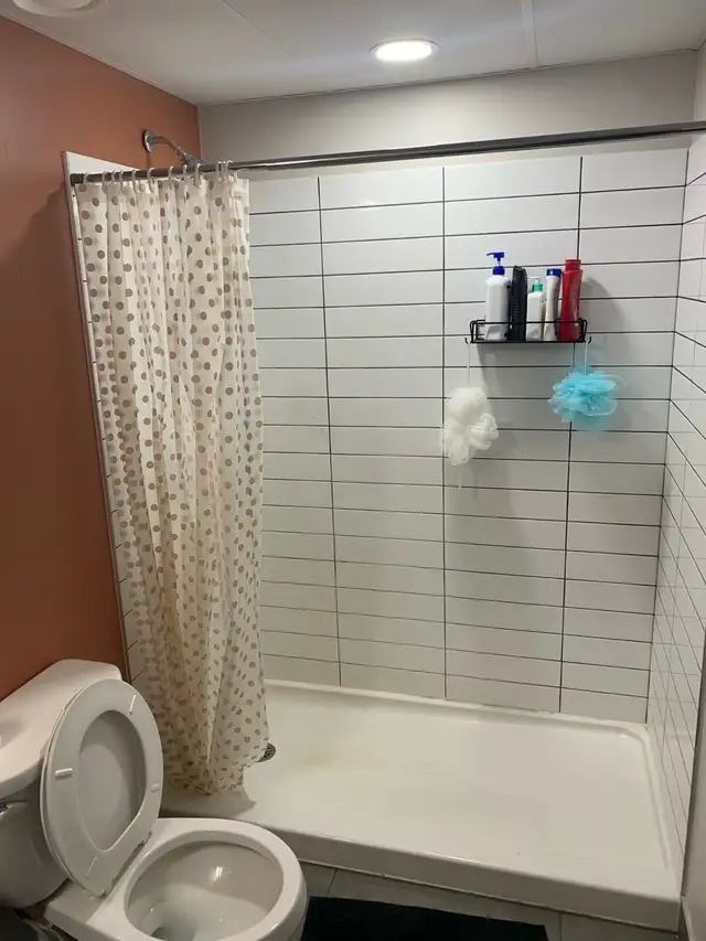 1 bedroom in a 3-bedroom apartment 63436971798275121