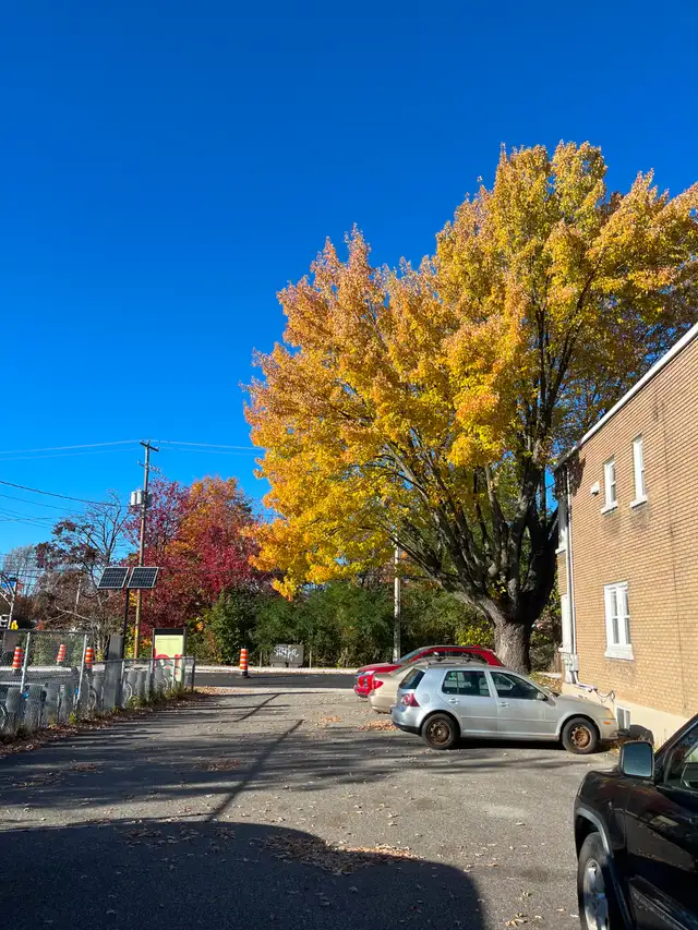 4 1/2 a louer 650$/mois s-sol très grand 588A McManamy in Long Term Rentals in Sherbrooke - Image 2