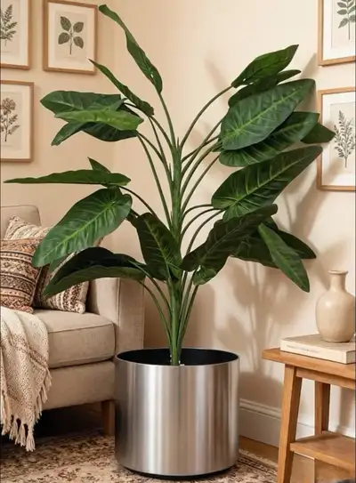 look for deco. & landscaping designer , florist & plant shop, View more