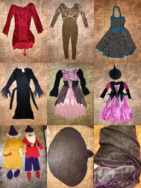 MANY Halloween costumes ALL SIZES! $15-$25 each!