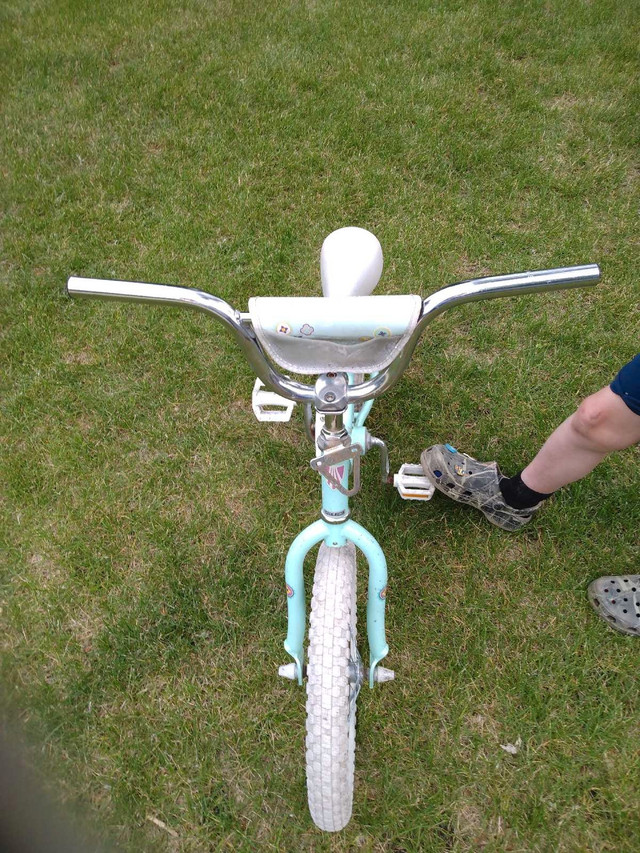 Girls Trek Bike in Kids in Winnipeg - Image 2