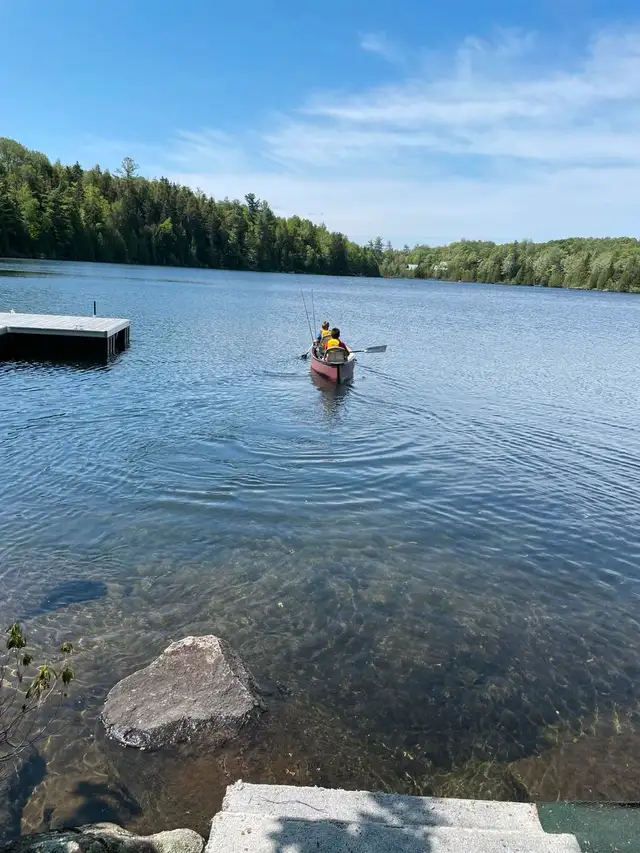 Chalet Bois Rond, Bord de lac Exceptionnel (kayak, canoe, Padddl in Quebec in Canada - Image 7