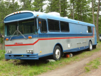 Bluebird Bus