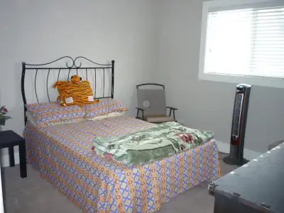 Furnished Room Female Working/Student