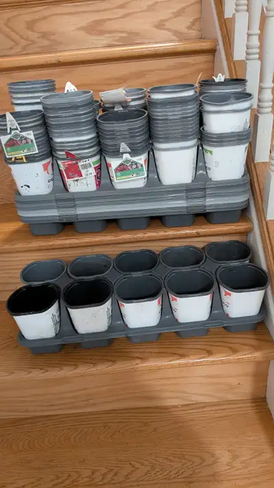 Small pots in a tray,   7 trays for $5 , Airport Area, View more