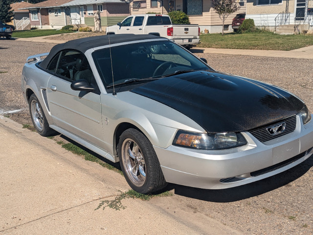 2003 Mustang Convertible in Cars & Trucks in Medicine Hat - Image 3