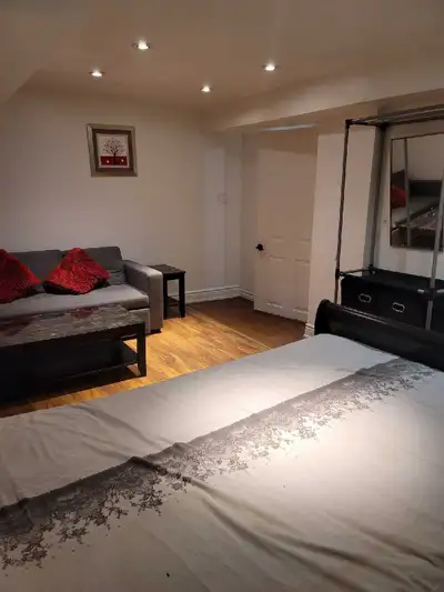 3 Bedroom Fully Furnished Basement (newly painted) Available with 1 complete washroom+1 kitchen, En-...