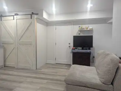 1 Bedroom Basement Apartment