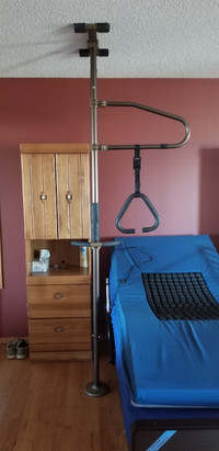 Signature Life Sure Stand Pole with Trapeze Grab Bar