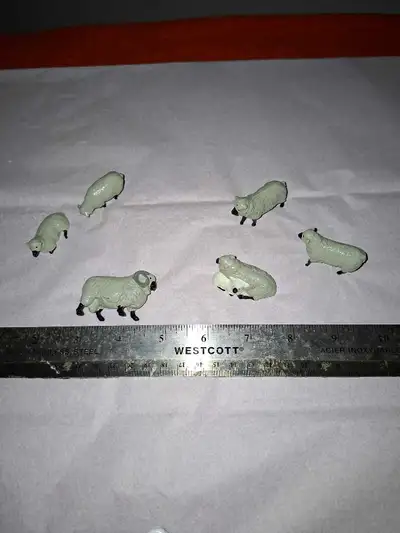 Toy Miniature Sheep, View more