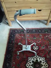 cane for sale
