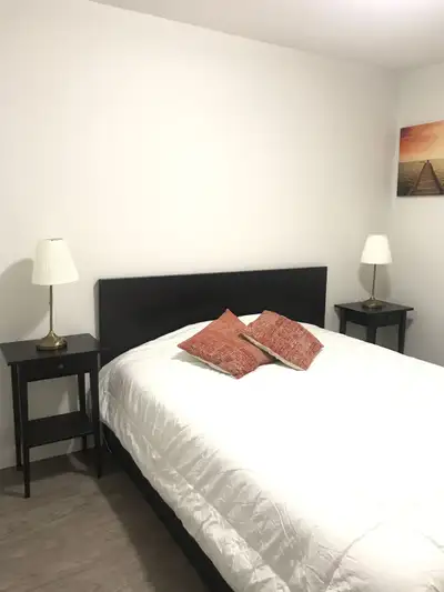 Renting a furnished queen size bedroom in Chappelle SW Area of Edmonton. Brand new home. Monthly Ren...