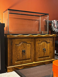 Aquariums and stands for sale!
