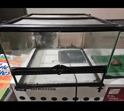 terrariums , View more