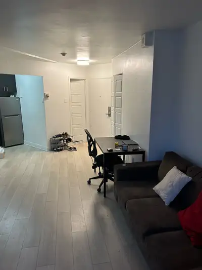 Appartement 3 1/2 downtown Montréal (animaux acceptés)