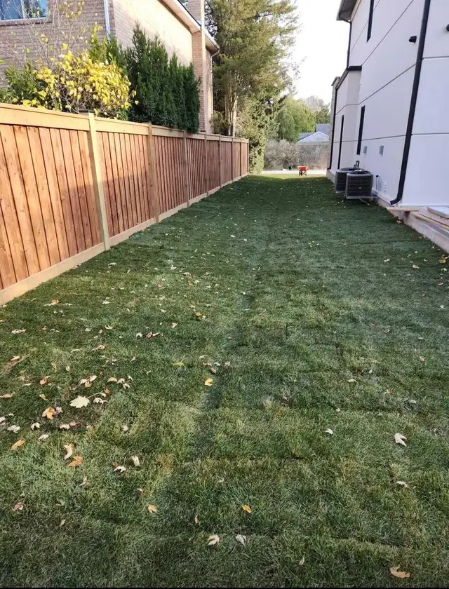 Professional Landscaping and Hardscaping Services552489617154396163