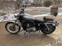 Harley Davidson, Sportster 1200 custom