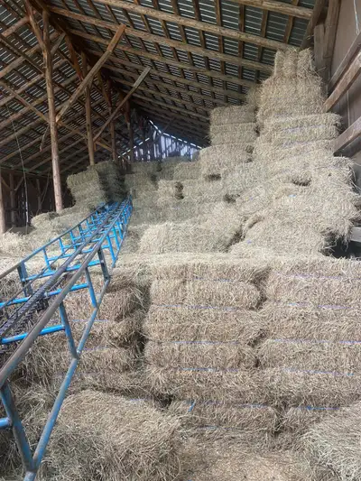 Hay  For Sale