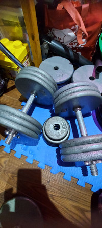 Adjustable dumbbells