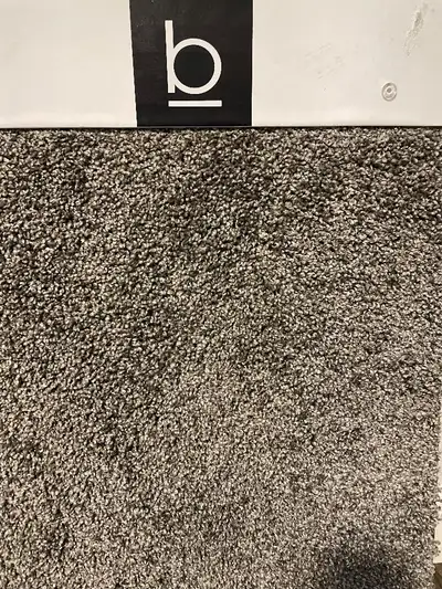CARPET FLOORING $2.99 SF INSTALLED PRICE, View more