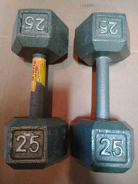 Two 25 lbs Dumbbells
