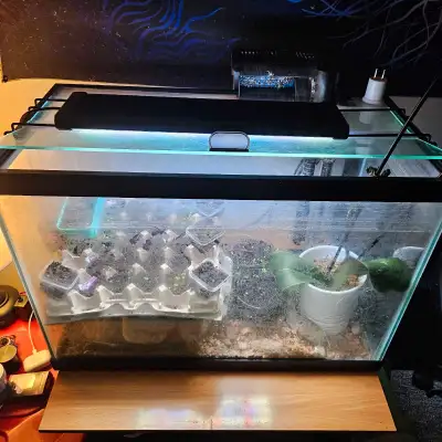 Aquarium With Accessories , View more