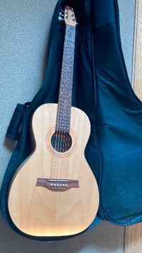 Seagull Excursion guitar as new $300