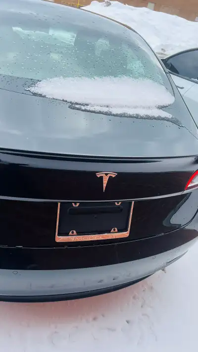 Car Detailing Specialist, View more