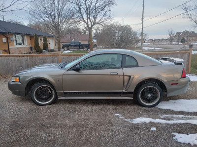 2002 3.8L V6 Ford Mustang Coupe 