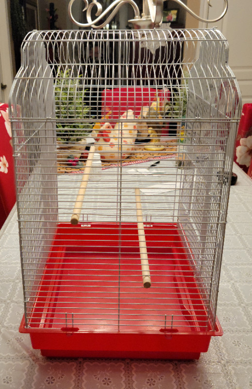 Petite Cage pour Oiseaux à Vendre dans Accessoires  à Lanaudière - Image 3