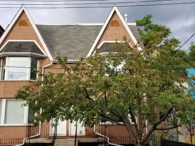 Available Sept 1 2026 All Utilities Inc Bell Tv Wireless Int Patio AC Bbq Street parking is availabl...