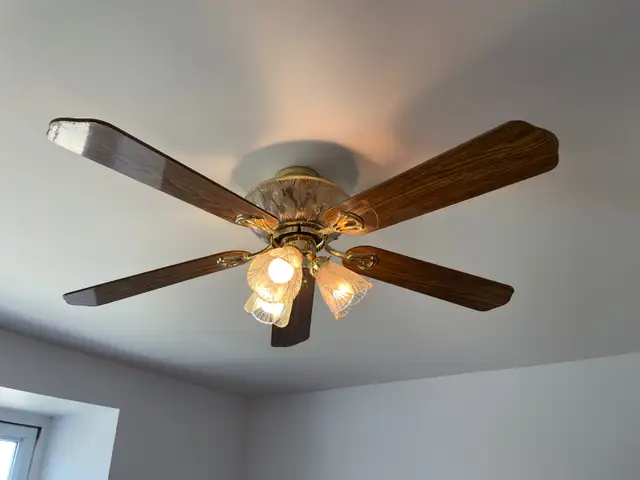 Ceiling fan in Indoor Lighting & Fans in Belleville - Image 2