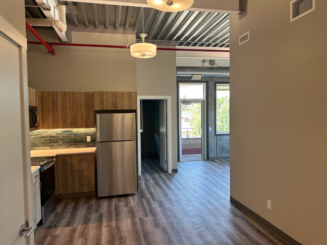 New York Style Apartment, Central Location in Long Term Rentals in Medicine Hat