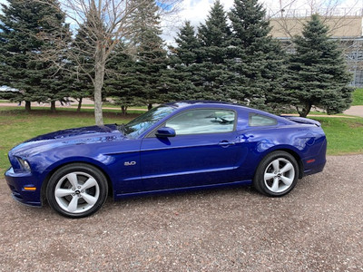 2014 Mustang GT Premium