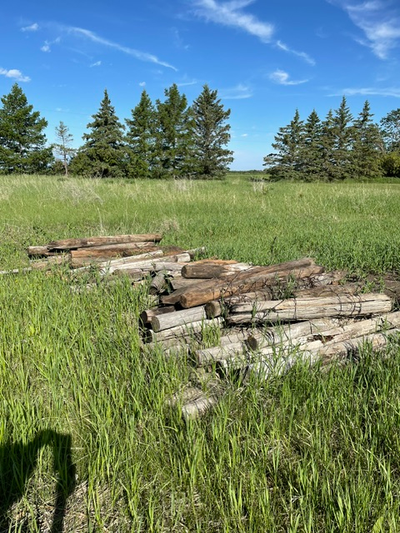 Assorted fence posts