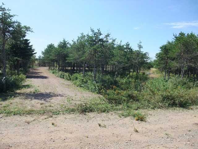 One Acre Lot Vacation Property For Sale in Land for Sale in Bathurst - Image 3