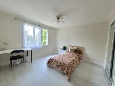 Female Homestay for Student/Professional near T&T Mississauga