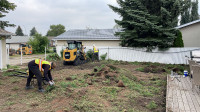 Sod Removal/Sod Replacement/Landscaping